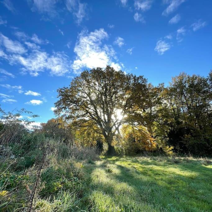 Superbe Maison De Campagne A Deux Pas De Nantes Treillières Buitenkant foto